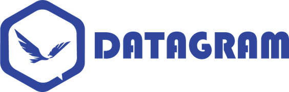 Datagram Network Technologies logo