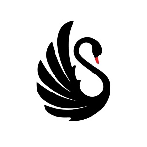 Black Swan business set-up services logo